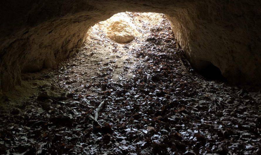 Szénás Kör családi táv 11km – Kitérővel egy „barlanghoz” és egy kilátóponthoz
